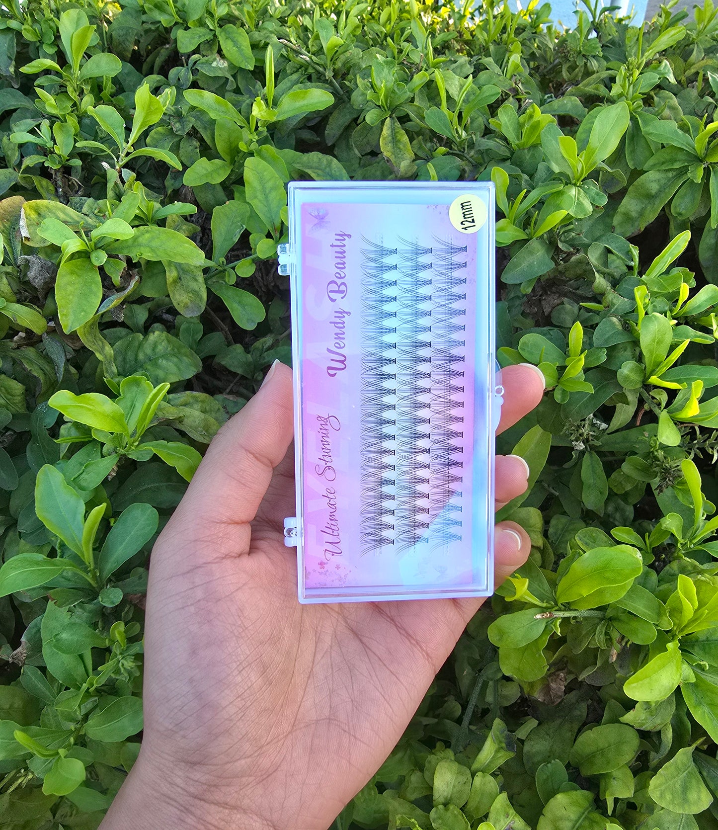 Wendy Beauty Complete Eyelash Extension Starter Kit