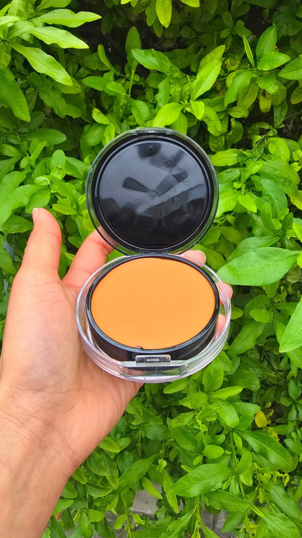 2in1 Powder & Concealer – Flawless Coverage Makeup