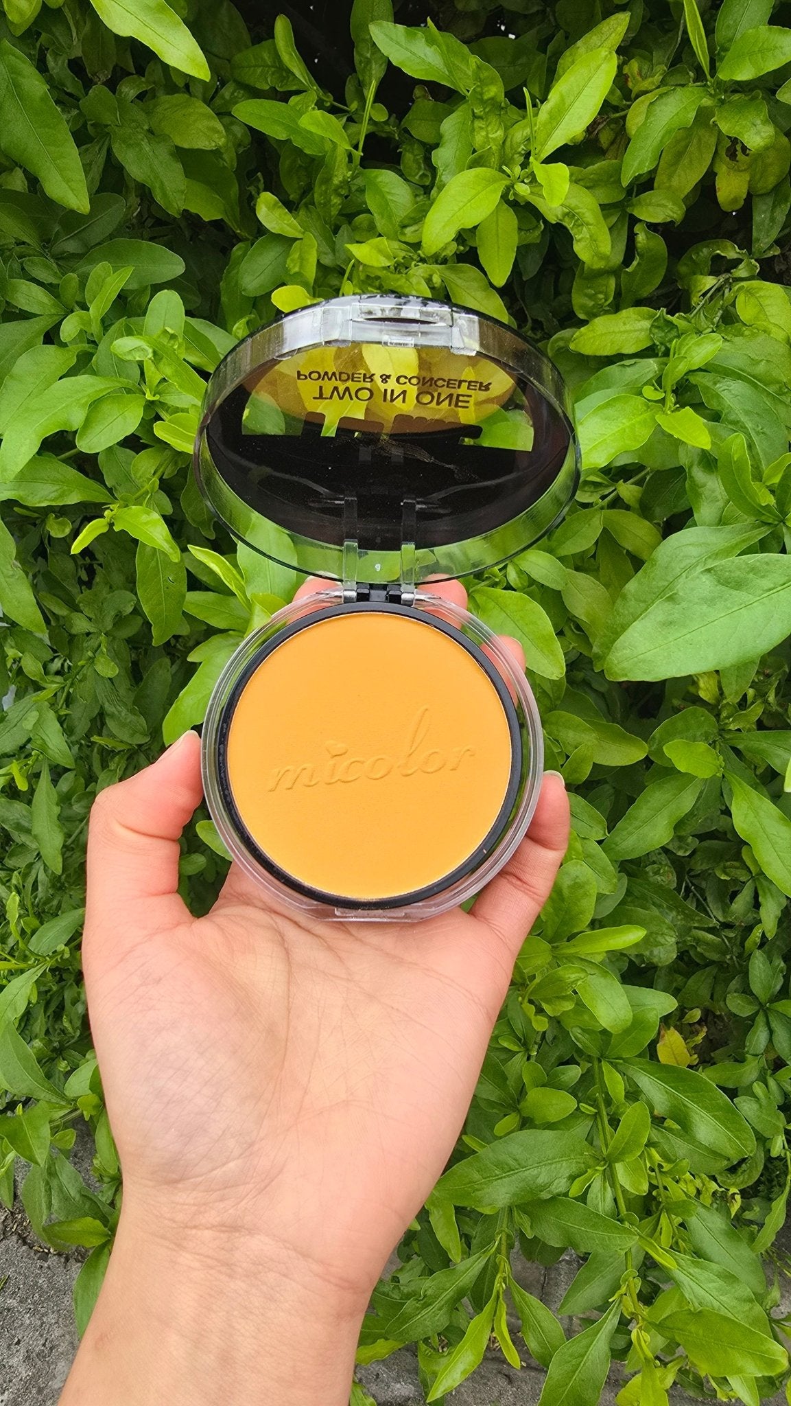 2in1 Powder & Concealer – Flawless Coverage Makeup