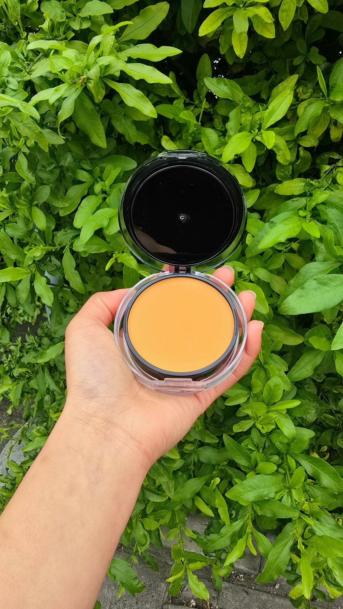 2in1 Powder & Concealer – Flawless Coverage Makeup