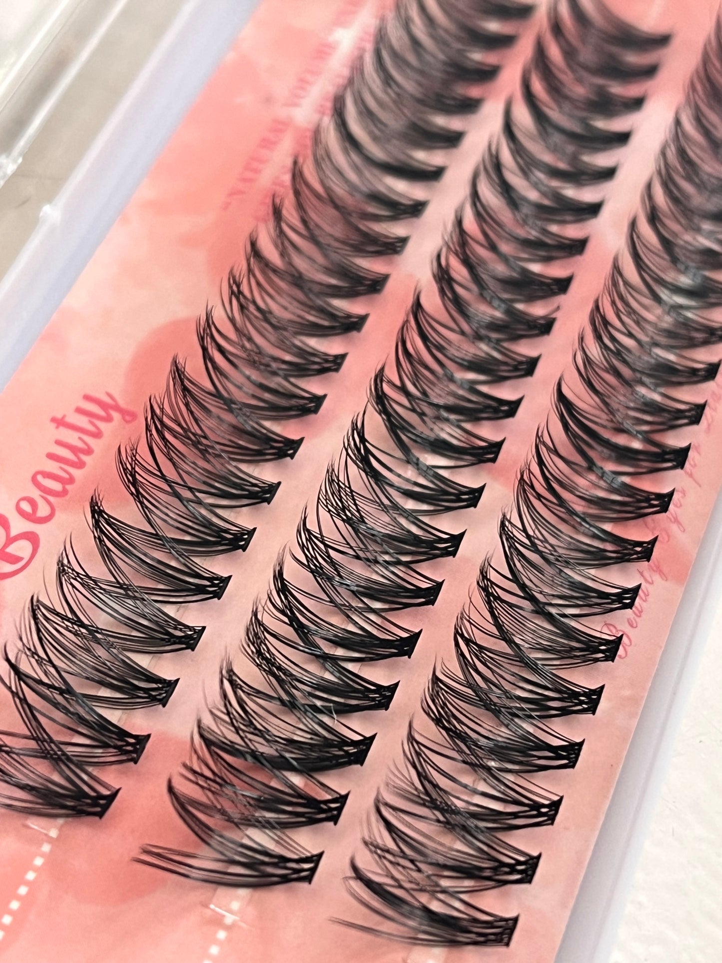 Wendy Beauty 30P C-Curl Lash Extensions – 14mm (0.10 Thickness)