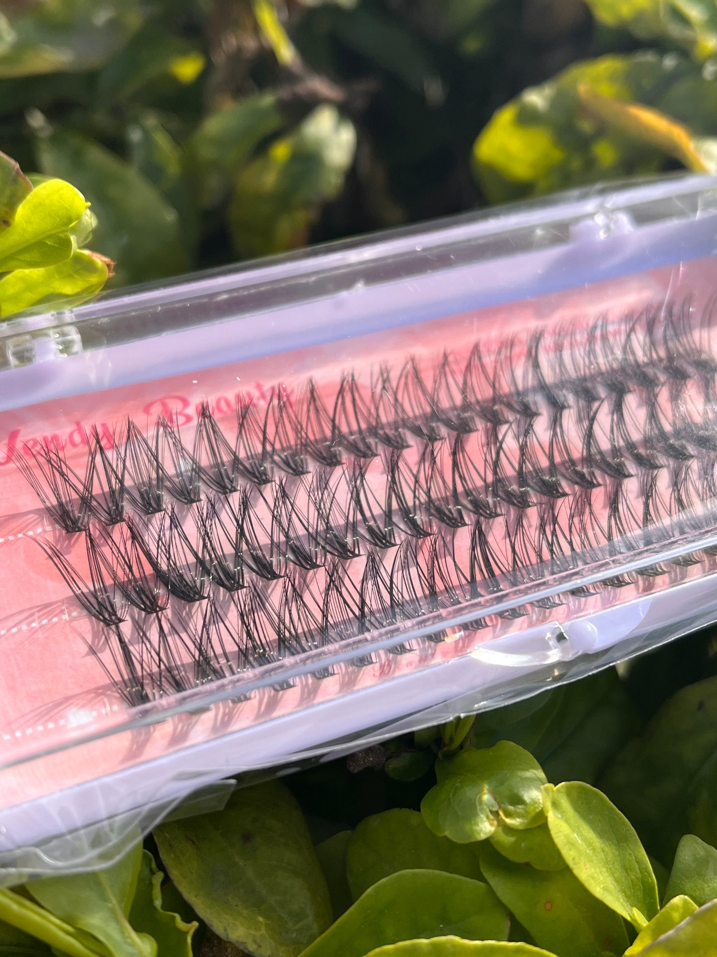 Wendy Beauty 30P C-Curl Lash Extensions – 14mm (0.10 Thickness)