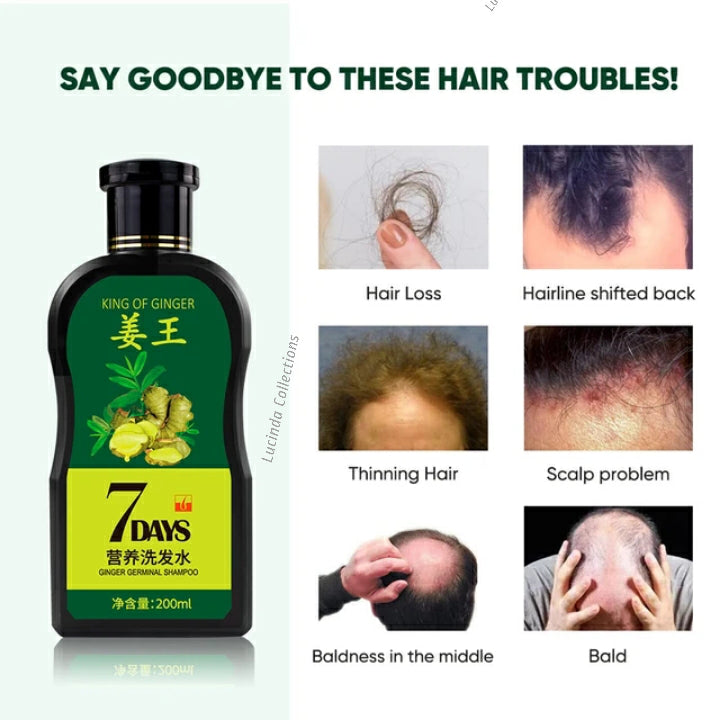 Ginger Germinal Hair Strengthening Shampoo - Boost Hair Growth & Strength
