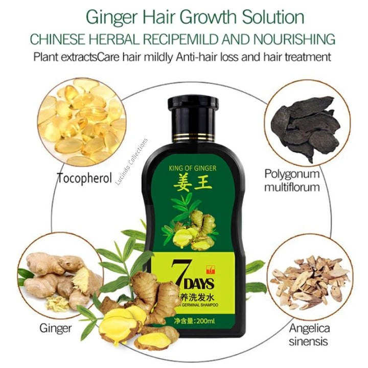 Ginger Germinal Hair Strengthening Shampoo - Boost Hair Growth & Strength