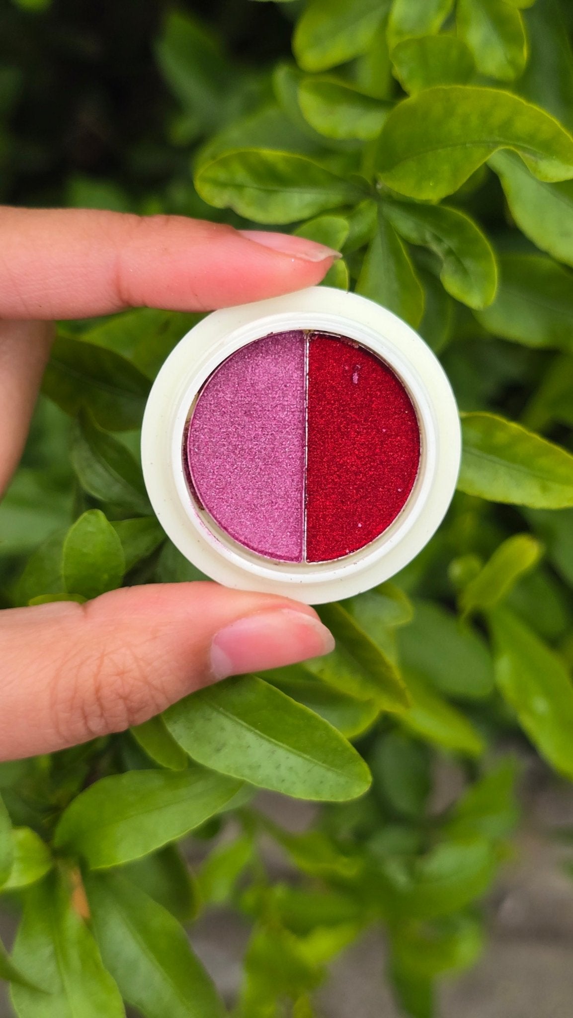 Two Colour Laser Powder – Nail Art Glitter Decoration