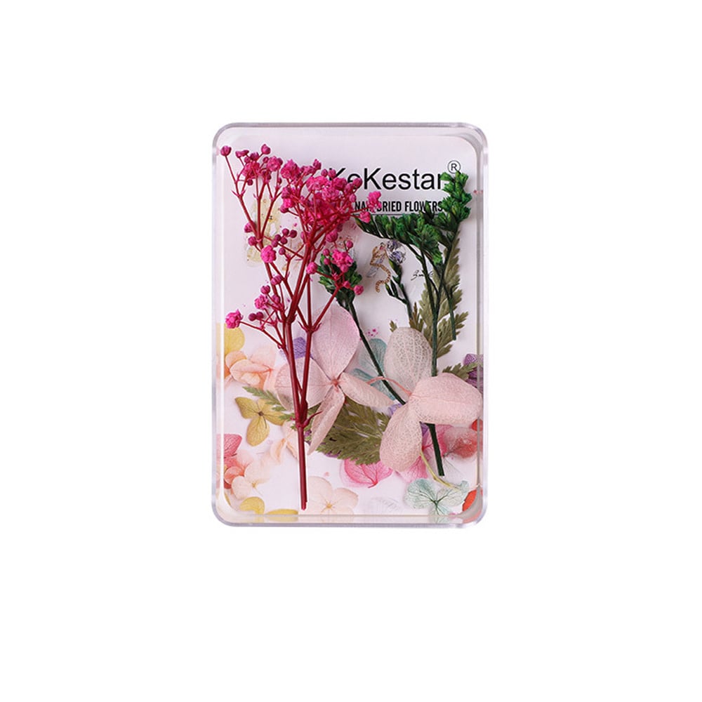 Variety Nail Art Dried Flowers – Floral Nail Décor for Creative Designs