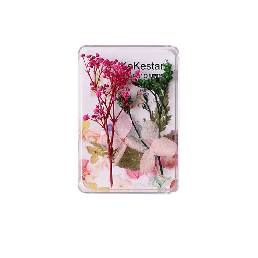 Variety Nail Art Dried Flowers – Floral Nail Décor for Creative Designs
