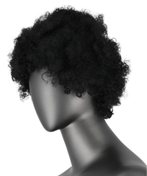 Short curly afro wigs fluffy