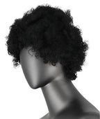 Short curly afro wigs fluffy