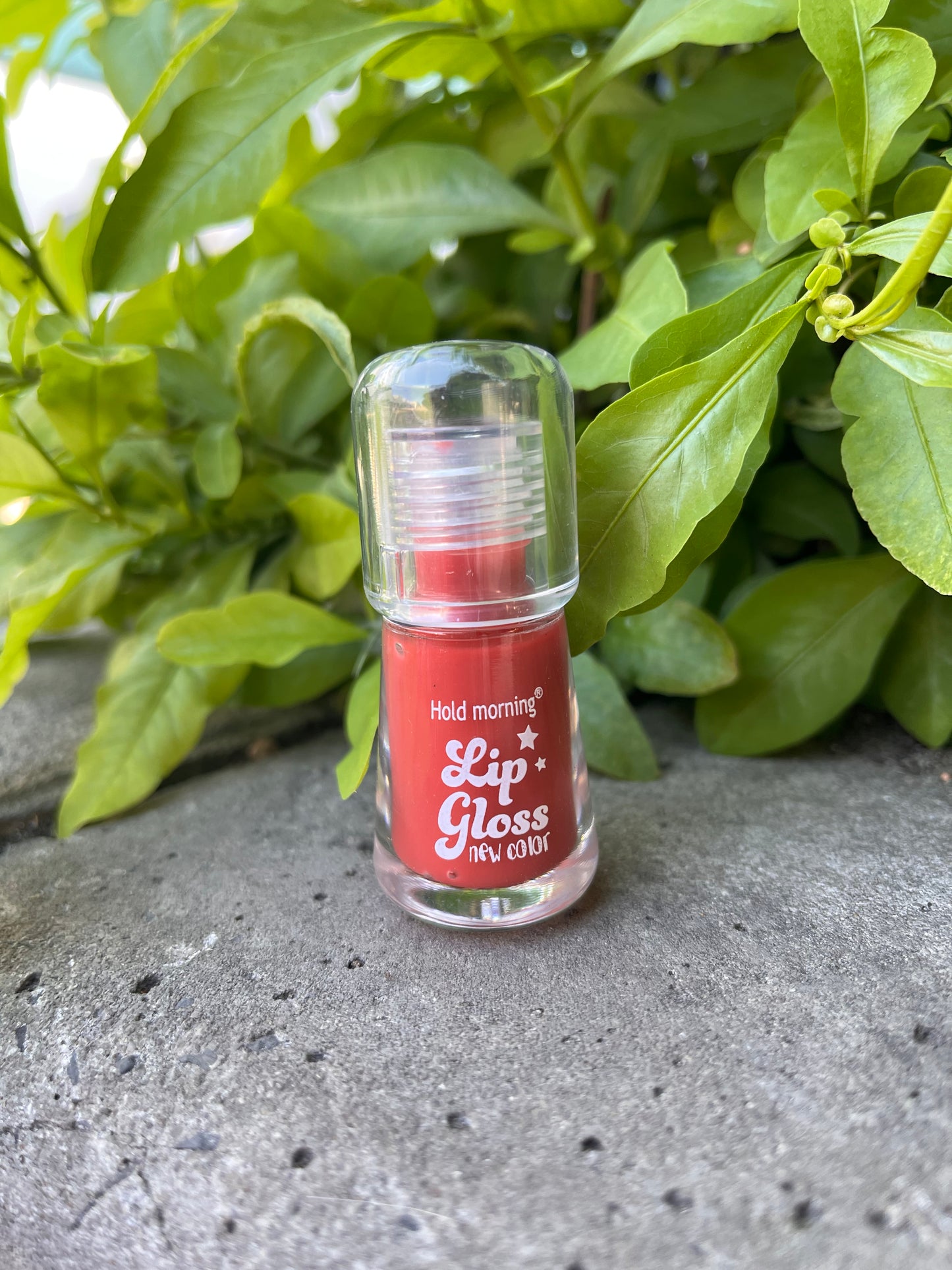 Hold Morning Lip Gloss – Long-Lasting Shine & New Color