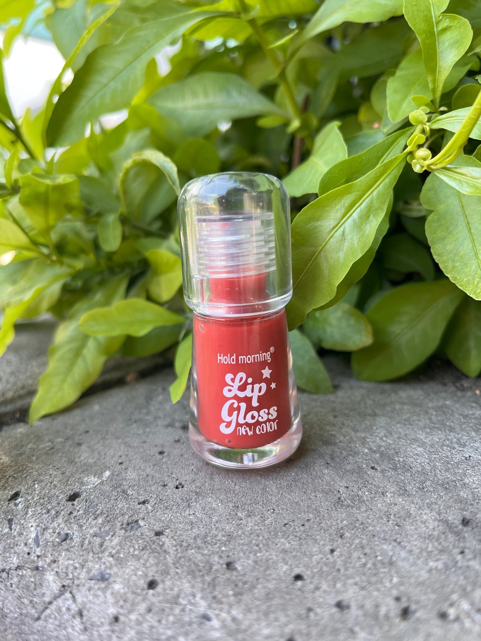 Hold Morning Lip Gloss – Long-Lasting Shine & New Color