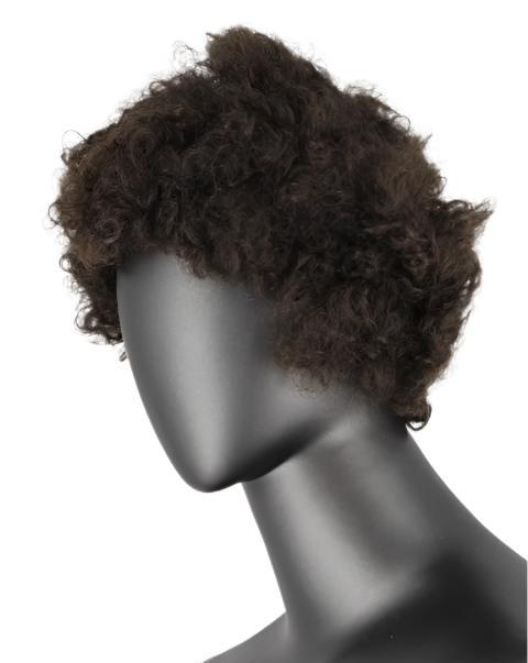 Synthetic Afro Fluffy Short Wig
