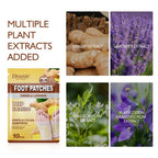 Disunic  foot Patches with Lavender & Ginger For Deep Cleansing