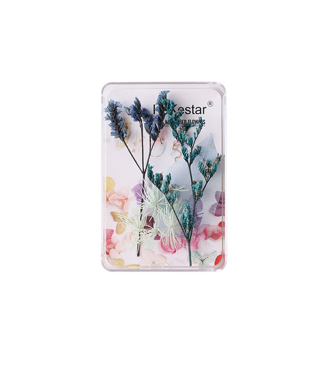 Variety Nail Art Dried Flowers – Floral Nail Décor for Creative Designs