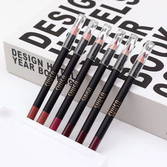 Ushas Matte Lip Stick and Lip Pencil Set