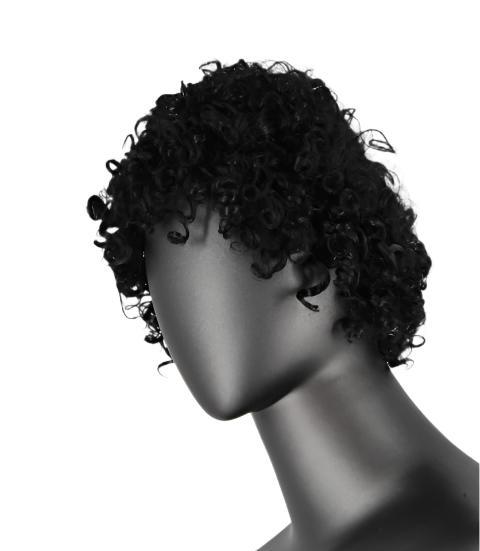 Short Curl Wig With Bangs
