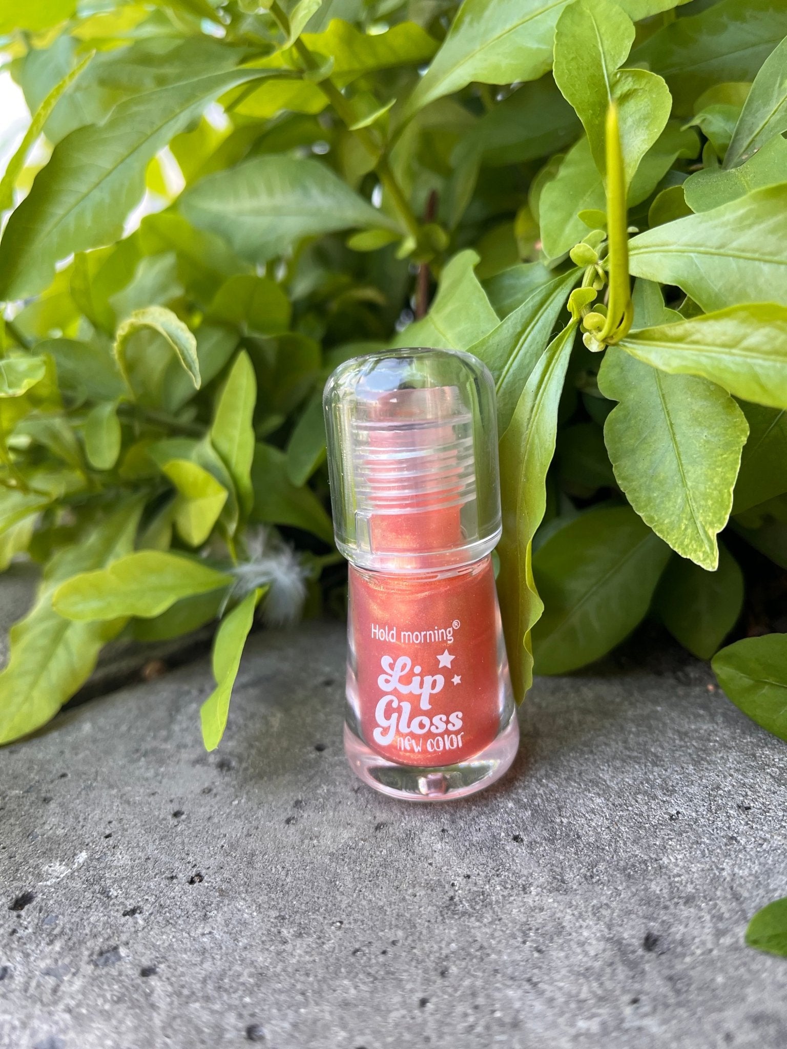 Hold Morning Lip Gloss – Long-Lasting Shine & New Color