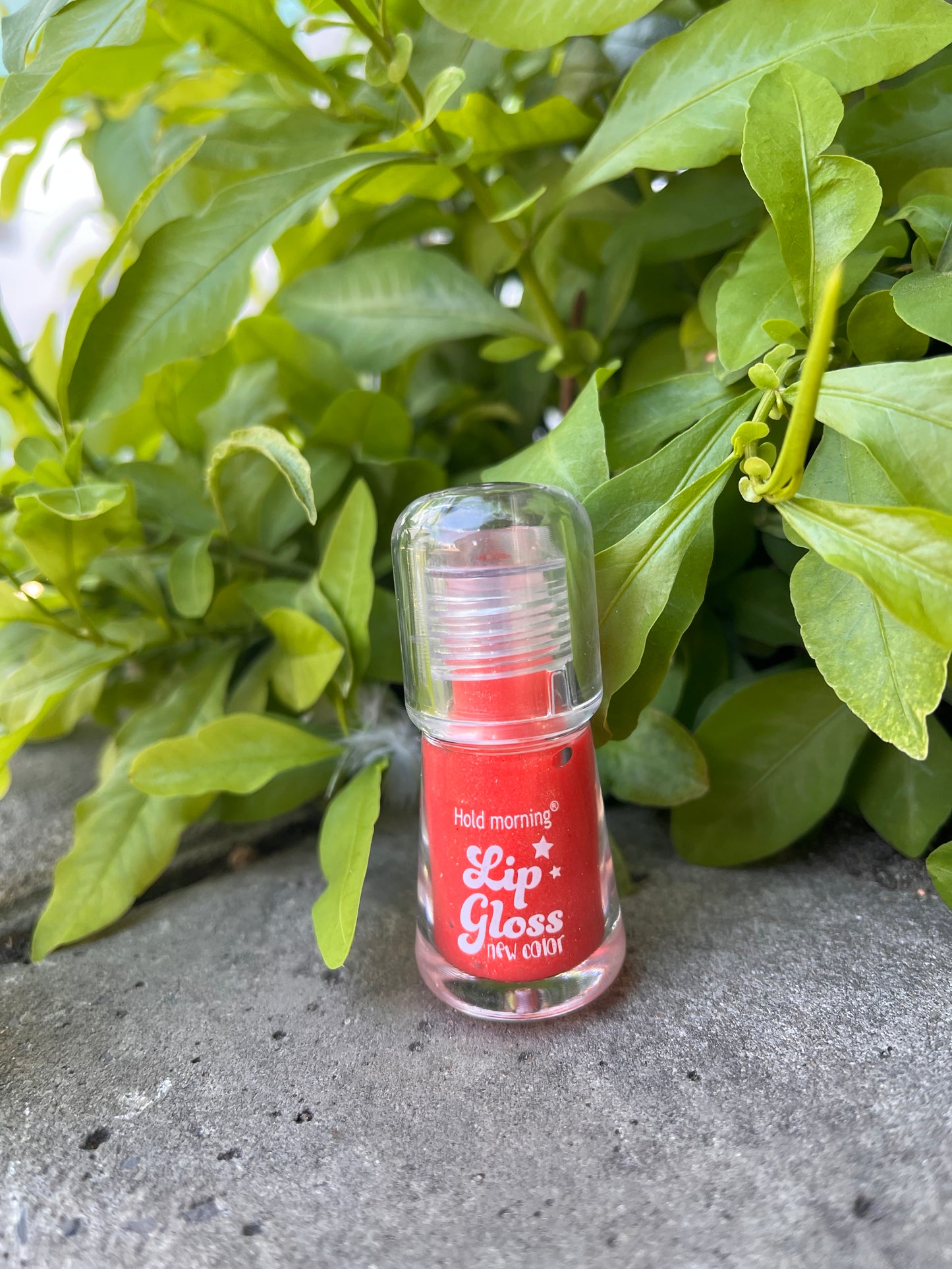 Hold Morning Lip Gloss – Long-Lasting Shine & New Color