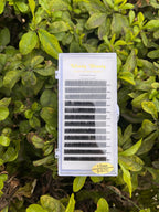 Wendy Beauty Lash Extensions – 10mm C-Curl 0.07 Volume Lashes