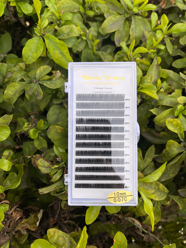 Wendy Beauty Lash Extensions – 10mm C-Curl 0.07 Volume Lashes