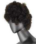 Short curly afro wigs fluffy