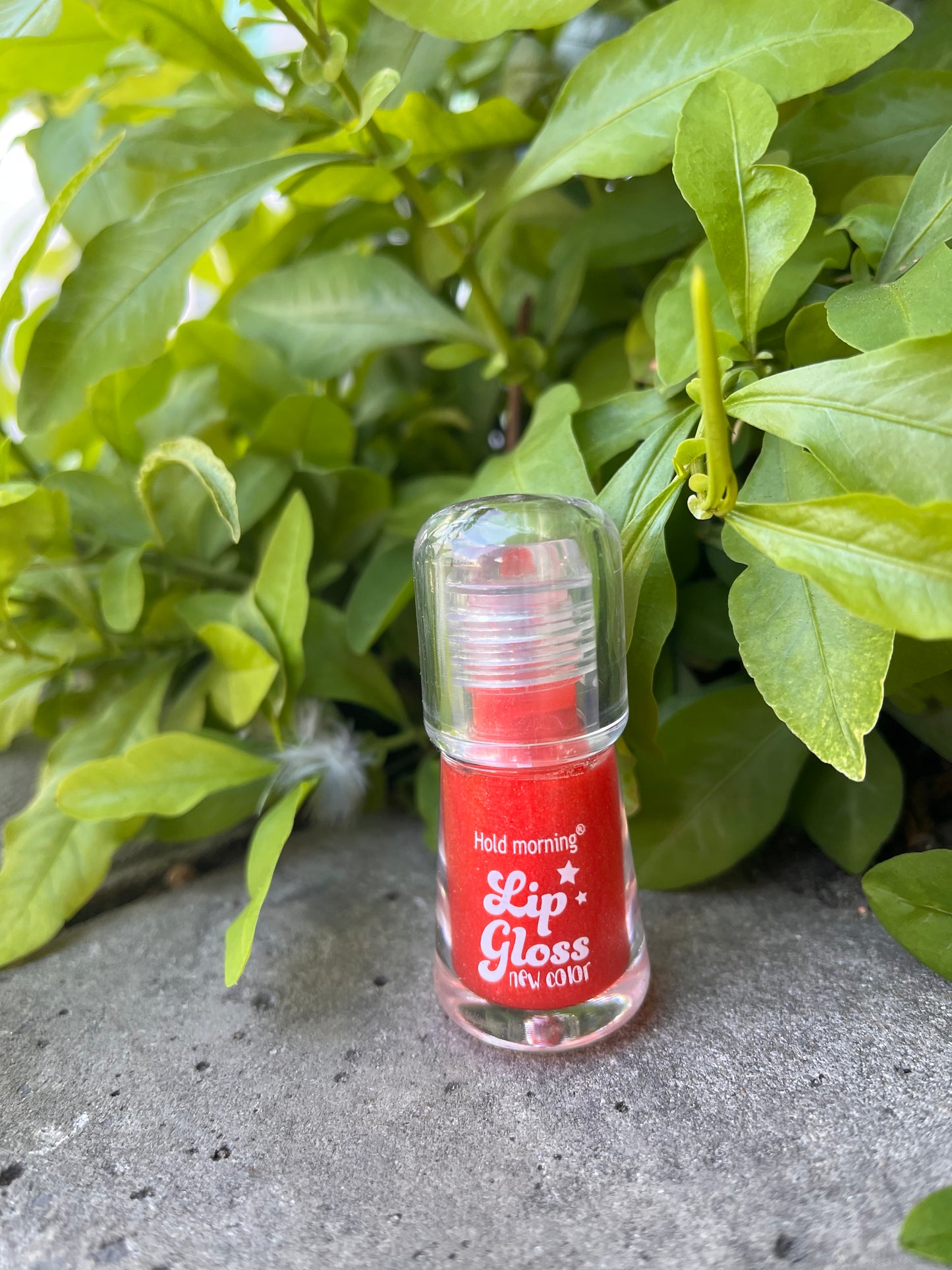 Hold Morning Lip Gloss – Long-Lasting Shine & New Color