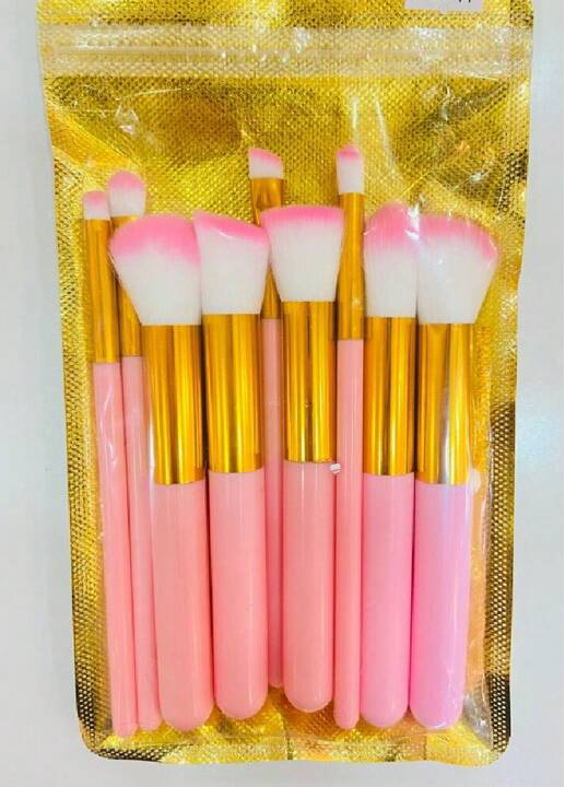 Mini Makeup Brush Set – 10pc Soft Brushes