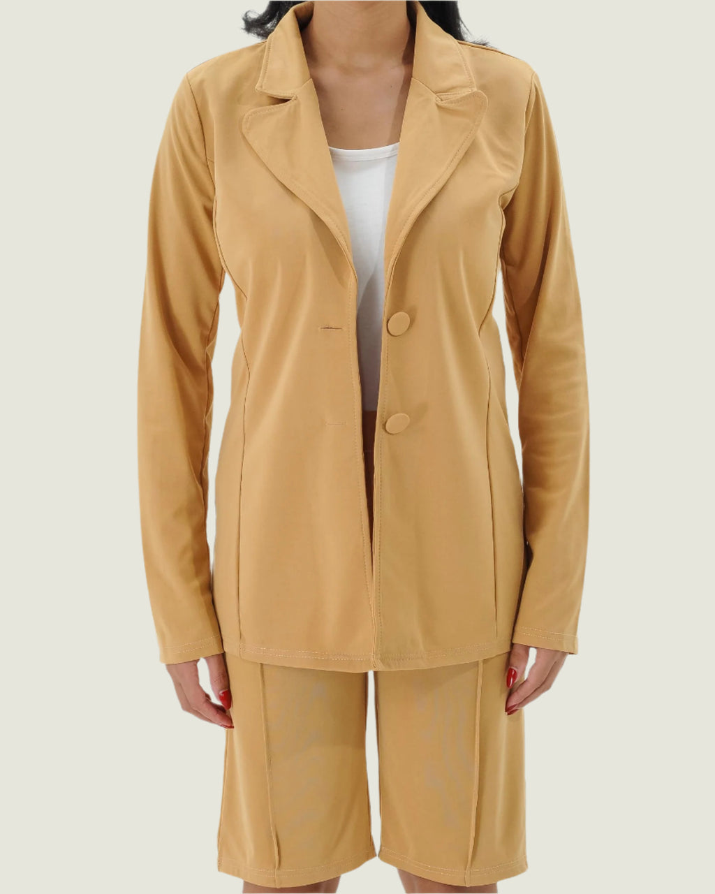 Elegant Office Lady Two-Piece Blazer Set – Chic & Professional Women's Outfit