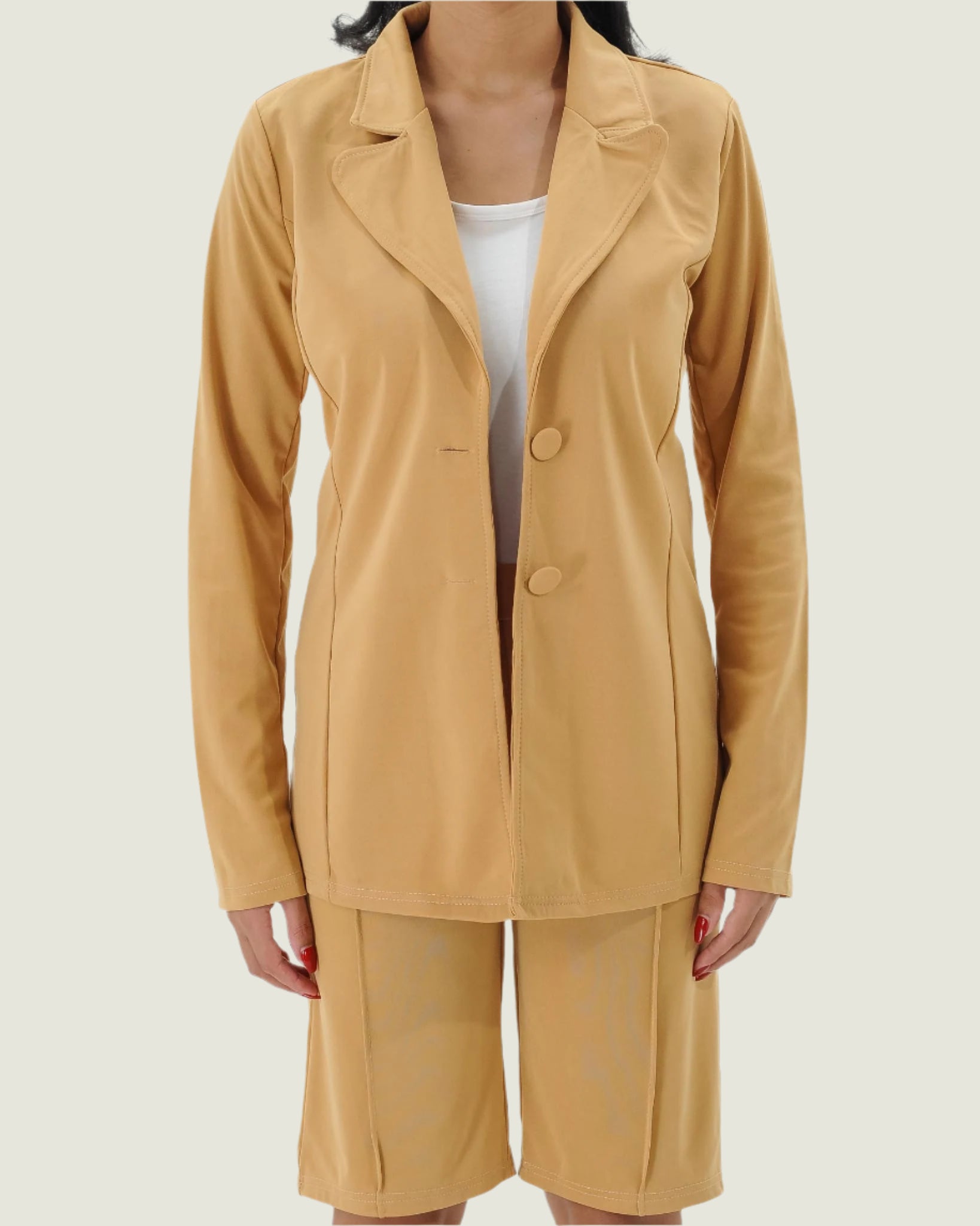 Elegant Office Lady Two-Piece Blazer Set – Chic & Professional Women's Outfit