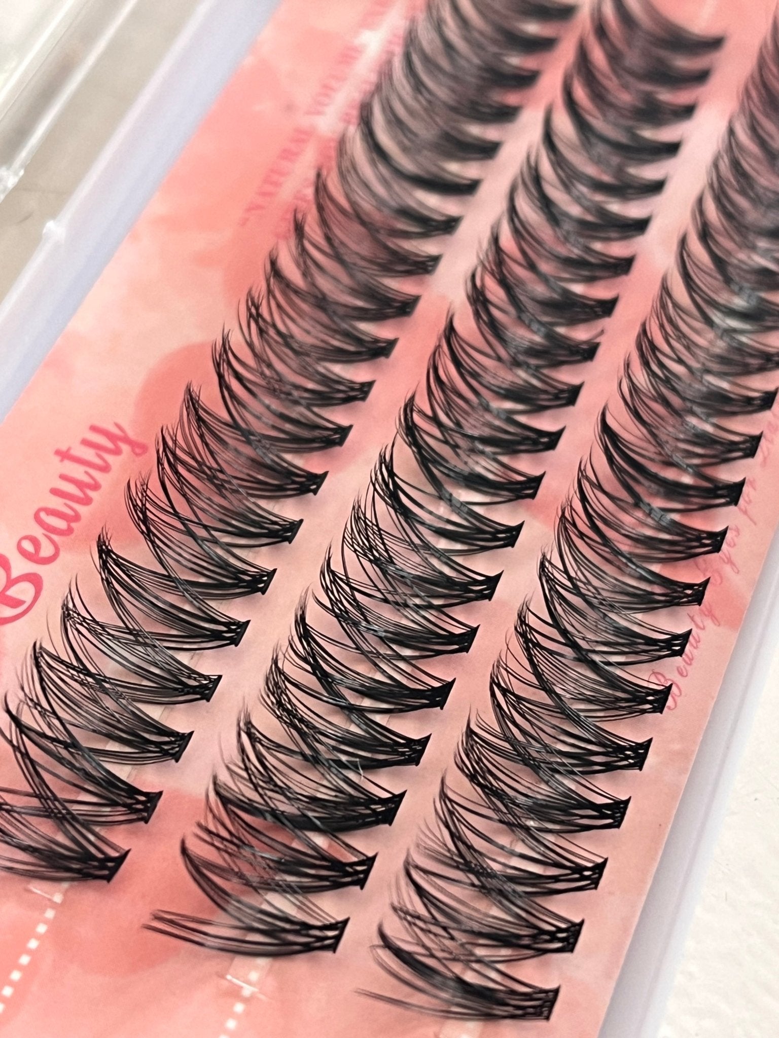 Wendy Beauty 30P C-Curl Lash Extensions – 14mm (0.10 Thickness)