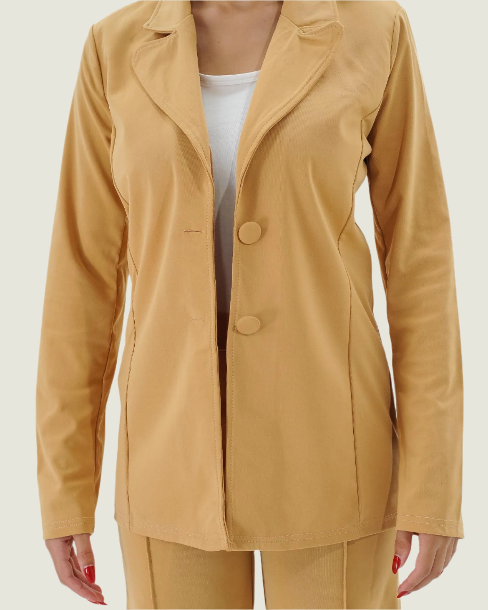 Elegant Office Lady Two-Piece Blazer Set – Chic & Professional Women's Outfit