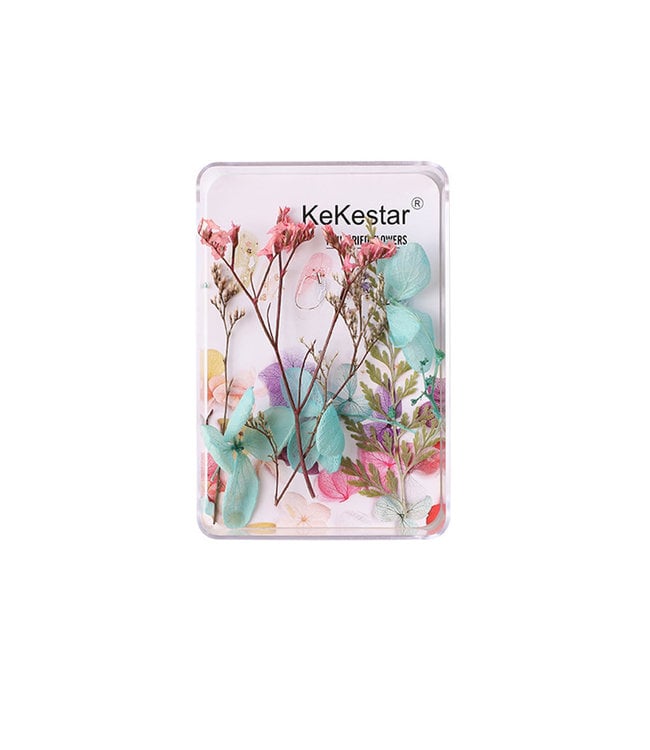 Variety Nail Art Dried Flowers – Floral Nail Décor for Creative Designs