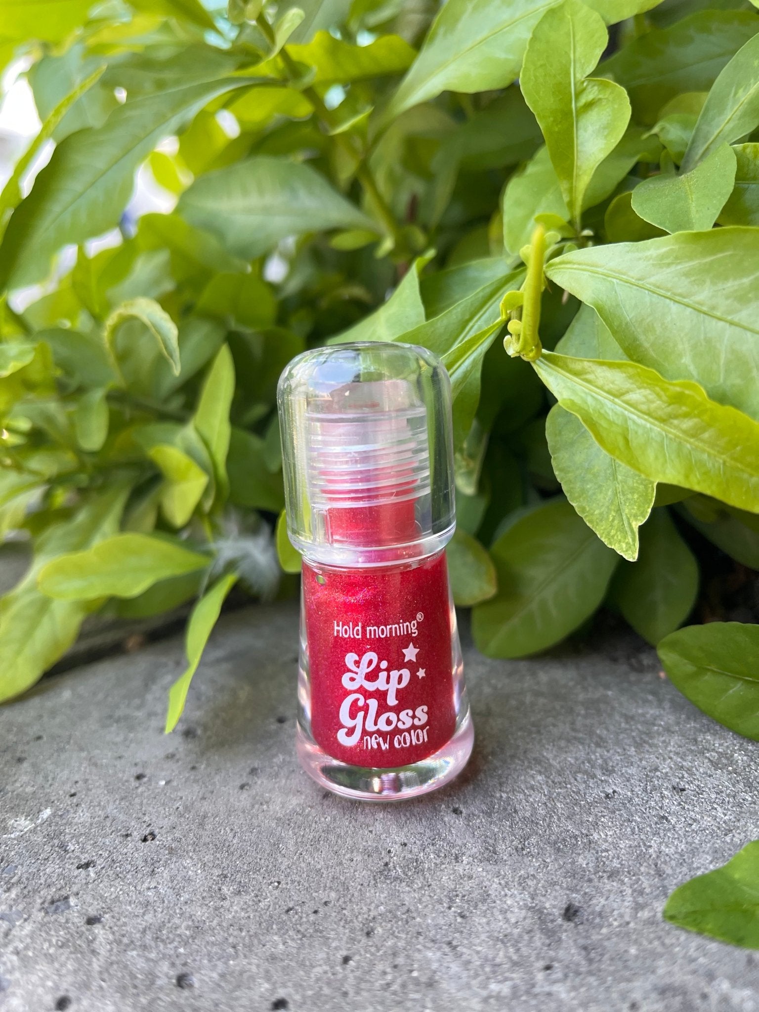 Hold Morning Lip Gloss – Long-Lasting Shine & New Color