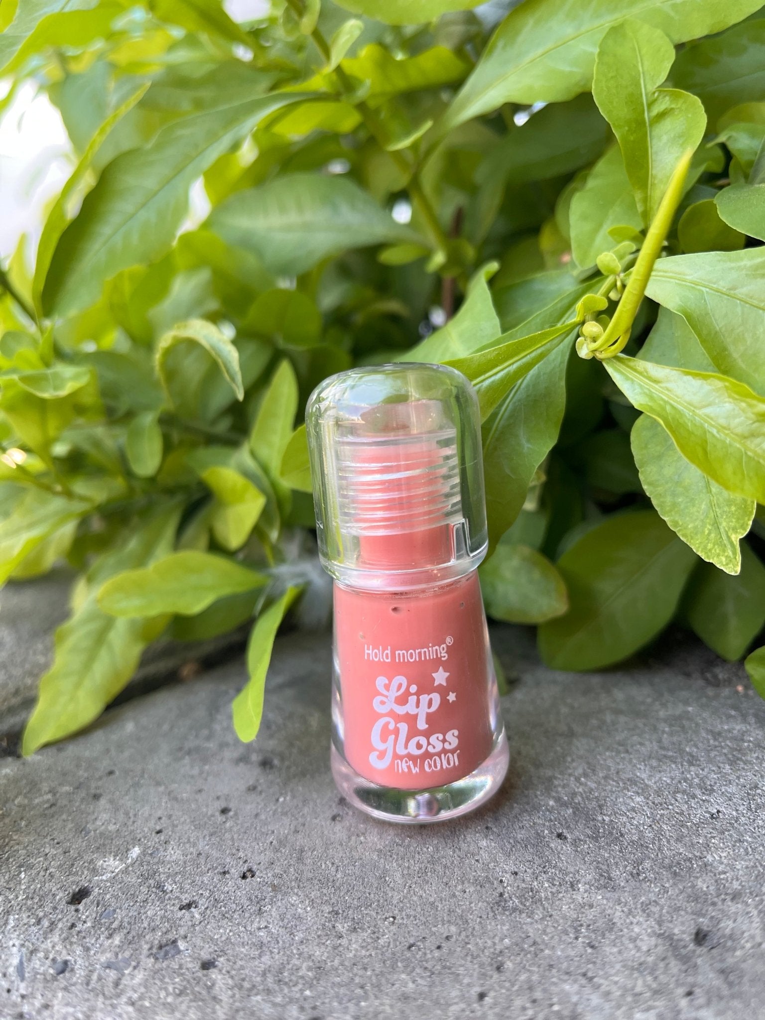 Hold Morning Lip Gloss – Long-Lasting Shine & New Color
