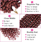 Curly Pop Passion Twist Curl Hair XD21