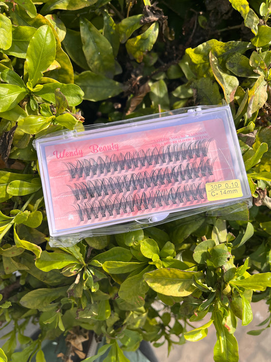 Wendy Beauty 30P C-Curl Lash Extensions – 14mm (0.10 Thickness)