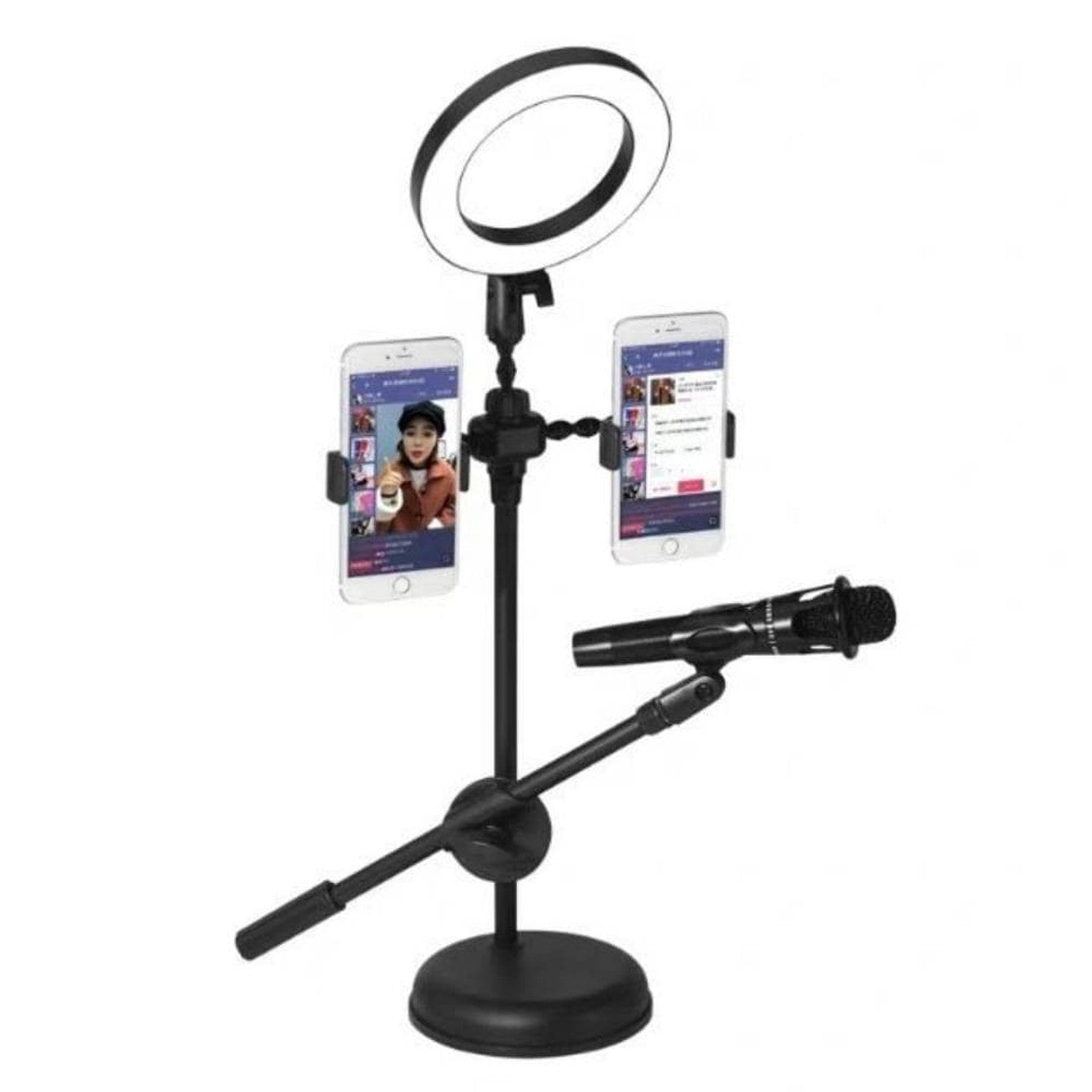 LED Ring Light Selfie Ring Lamp with Phone Holder and Microphone Stand