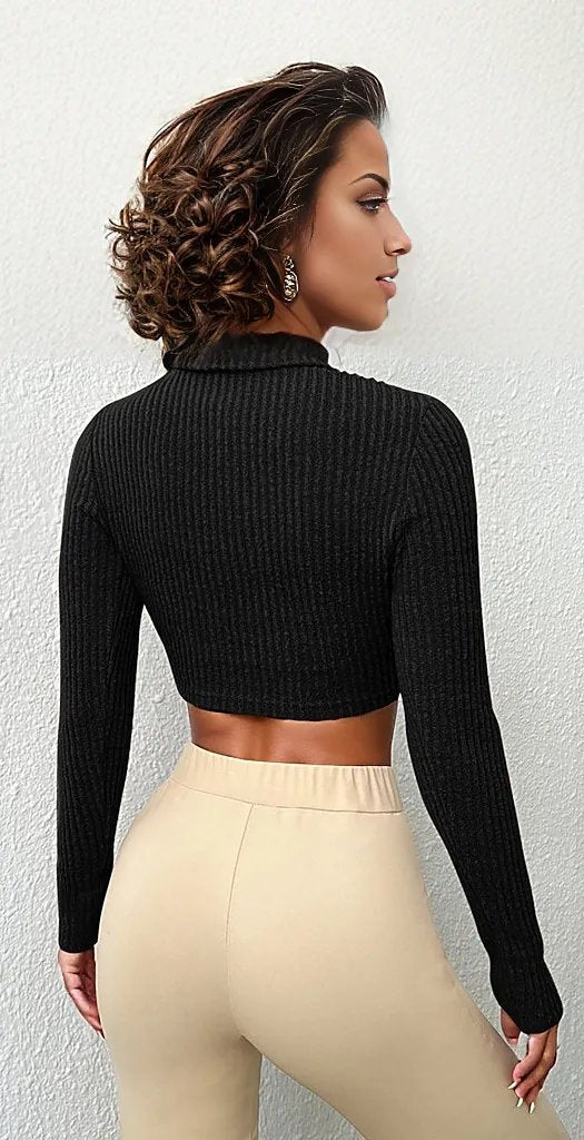 Turtle Neck Ribbed Knitted Jersey