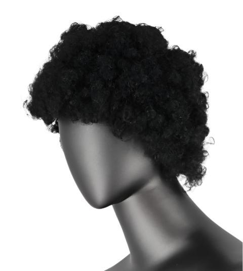 Synthetic Afro Fluffy Short Wig