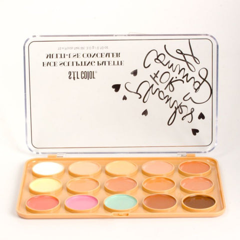 Ushas Concealer Palette – Versatile Face Sculpting for Flawless Definition