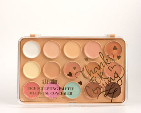 Ushas Concealer Palette – Versatile Face Sculpting for Flawless Definition