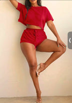 Mesh Sheer Crop Top and Shorts Matching Set