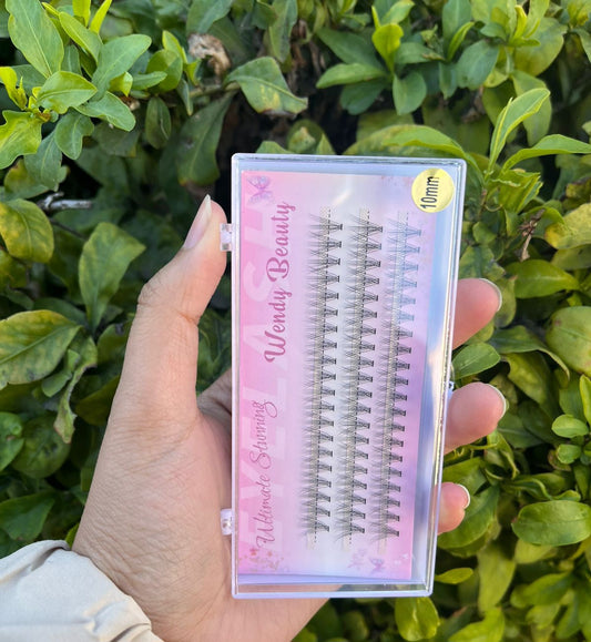 Wendy Beauty Complete Eyelash Extension Starter Kit
