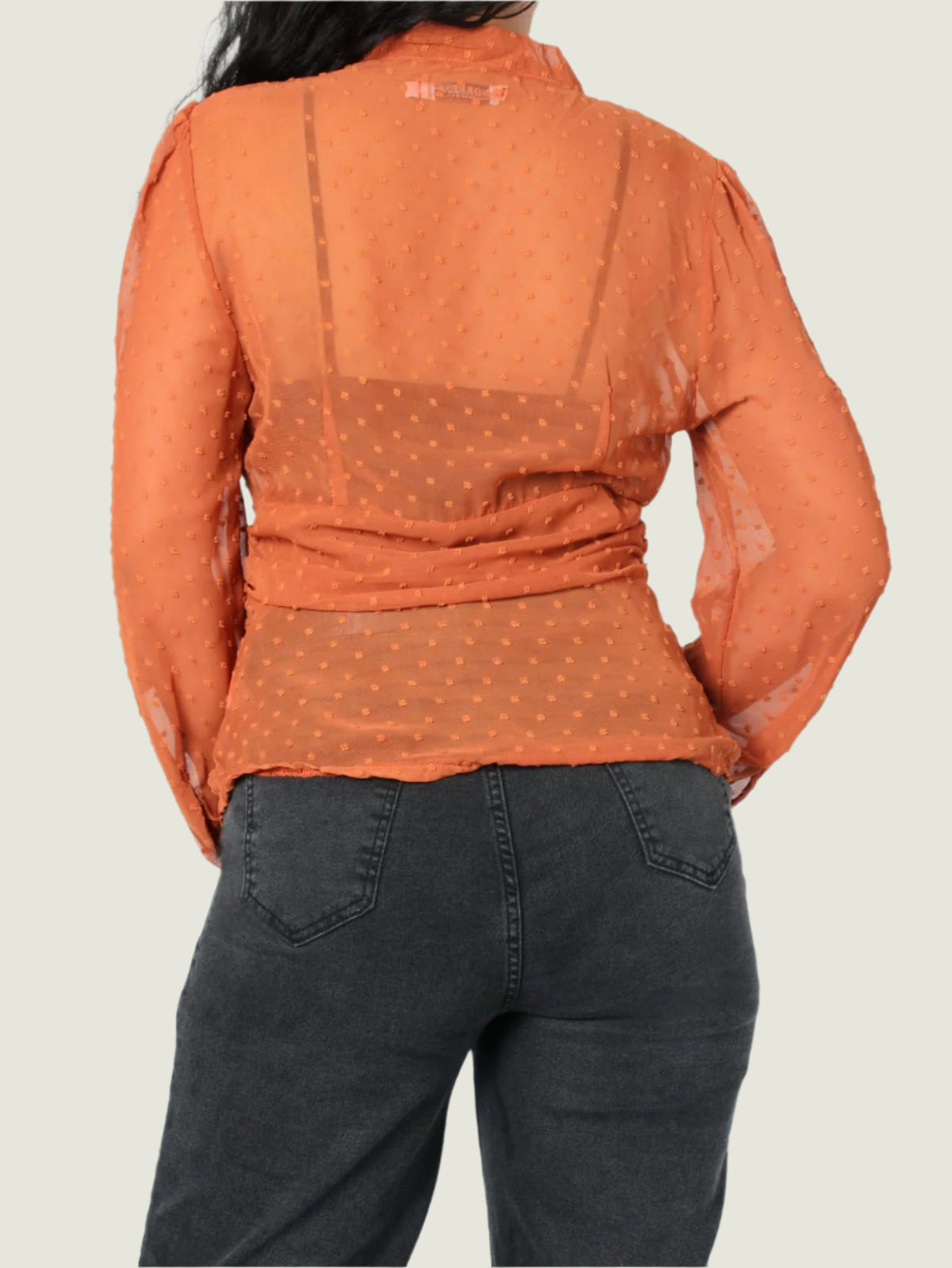 Sheer Dotted Tie Bow Blouse