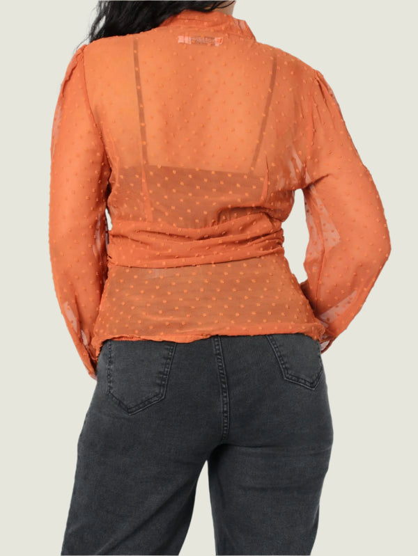 Sheer Dotted Tie Bow Blouse