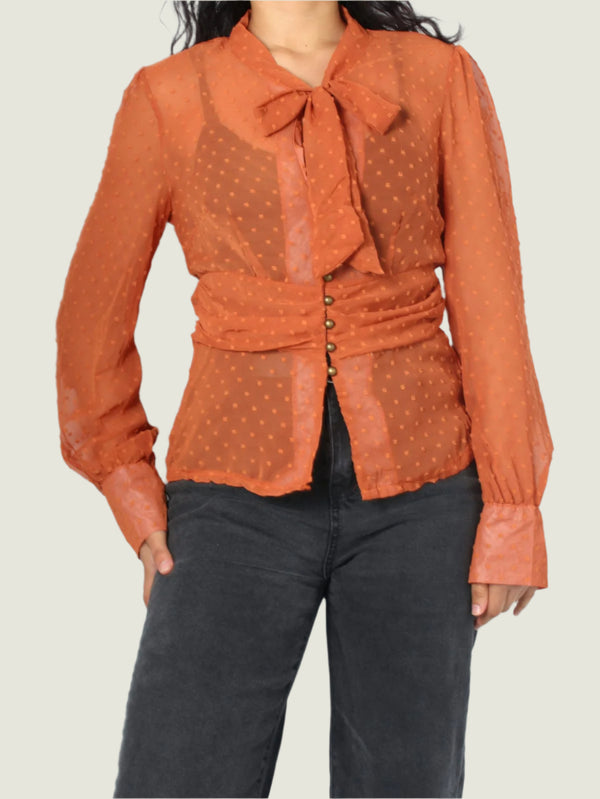 Sheer Dotted Tie Bow Blouse