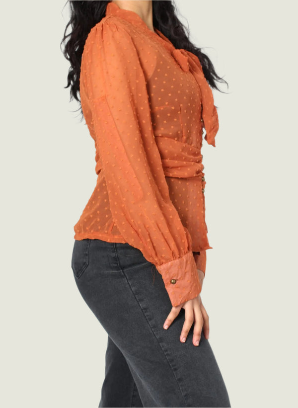 Sheer Dotted Tie Bow Blouse