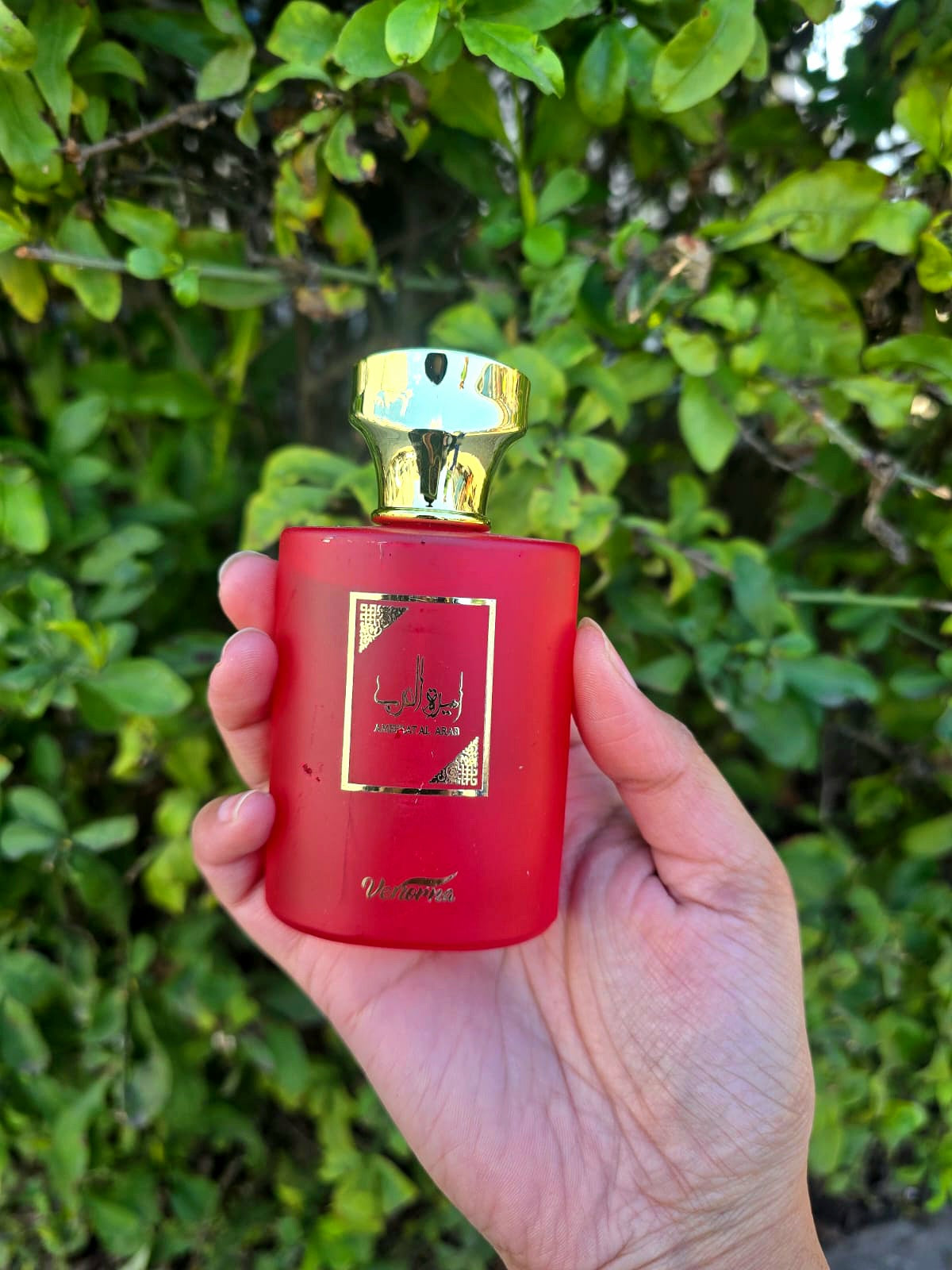 Ameerat Al Arab Eau De Parfum 35ml 1 Piece
