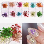 Vibrant Dried Flowers for Stunning Nail Art – Elevate Your Manicure