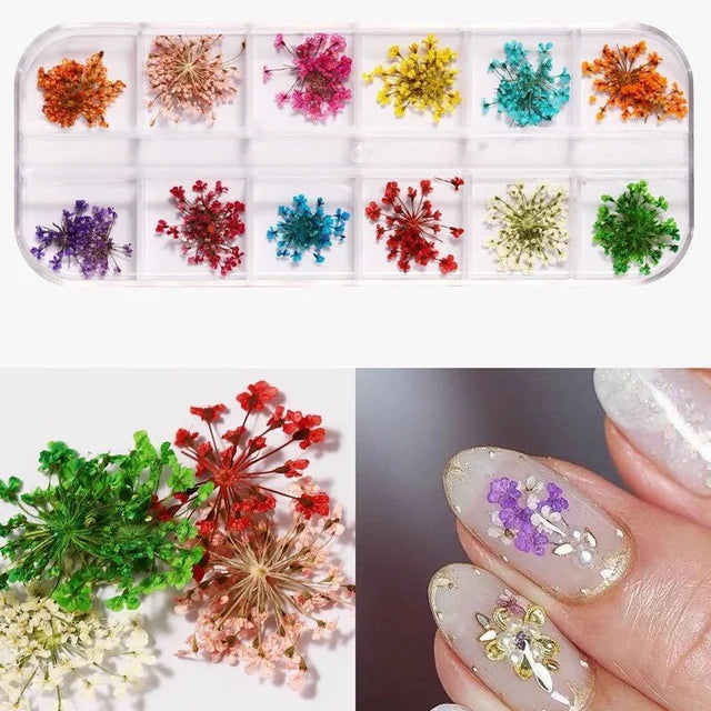 Vibrant Dried Flowers for Stunning Nail Art – Elevate Your Manicure